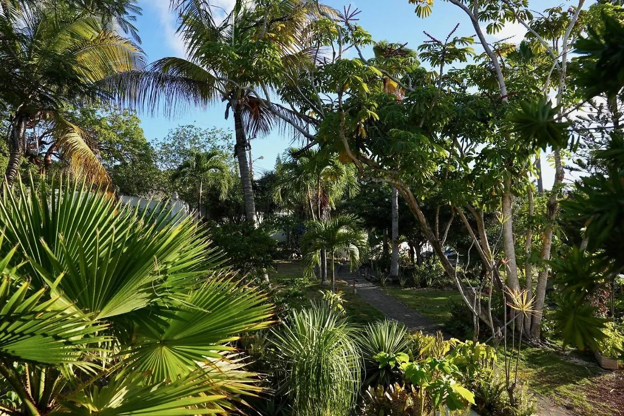 Quill Gardens Boutique Hotel Oranjestad